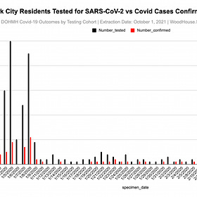 An Abandoned Public New York City Dataset Shows Early January 2020 Cases