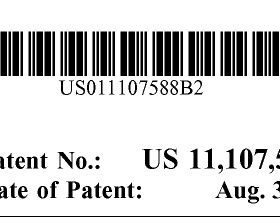 Πατέντα/Δίπλωμα ευρεσιτεχνίας της Pfizer # 11,107,588