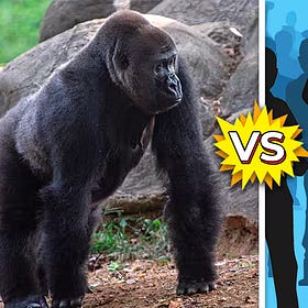 Why 100 Humans Probably Can’t Beat a Gorilla
