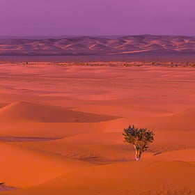 What is Resilience? Understanding Individual and Collective Resilience