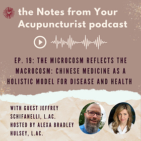 Ep. 19: The Microcosm Reflects the Macrocosm: Chinese Medicine as a Holistic Model for Disease and Health, with Jeffrey Schifanelli