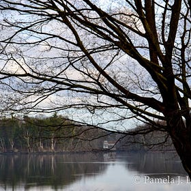Photo Essay: An Early Spring Day on the River