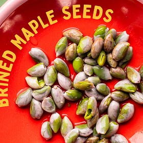Salt-Brined Maple Seeds