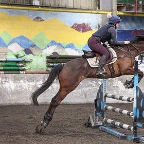 Fun-filled Easter weekend at Connell Hill Equestrian