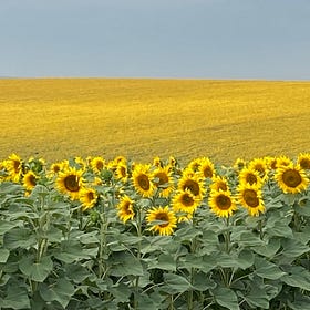Sogno e incubo