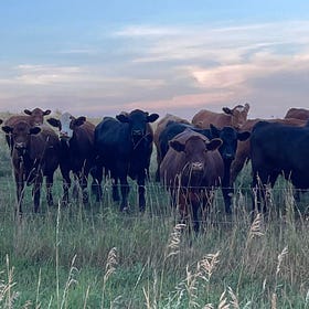 What is the Value of a Farm?