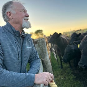 Brookings firm has bird flu vaccine for cattle, but federal bureaucracy in the way