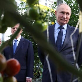 Tomatoes, a short history of Belgium, and ‘beautiful ladies': on the campaign trail with Vladimir Putin