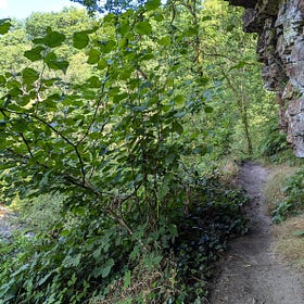 We've Warned Natural Resources Wales And Bannau Brychieniog Again That Serious Accidents WILL Occur