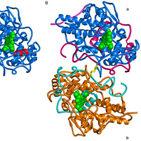 Blue Green Mother's Milk after mRNA Jabs most likely due to Lactoperoxidase or Myeloperoxidase increased by Endotoxin