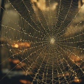 Oh What a Tangled web we Weave!