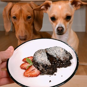 Molten Lava Cake