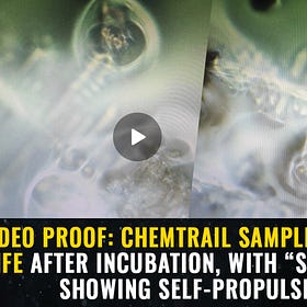 CHEMTRAILS EXPOSED: Mystery Fog Turns into Living Creatures