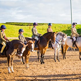 Fabulous Working Hunter Pony line up at Hagans Croft