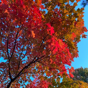 Autumn sigh