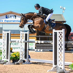 Spring Horse Show challenges at The Meadows