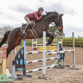 Competitors out in strength at Connell Hill Training Show