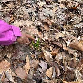 Small Beautiful Things: Right Before Spring