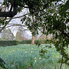 Finding my way in ‘winterspring’.