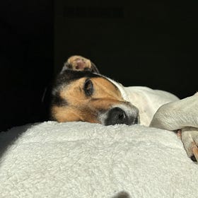 How Dogs Make Us Ancient Again