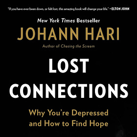 Lost Connections, by Johann Hari