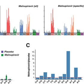 Evidence of Molnupiravir-related SARS-COV2 mutations?