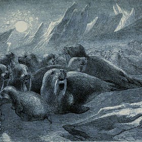 The Glaciermen #23: Bulltooth