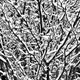Pattern Recognition.