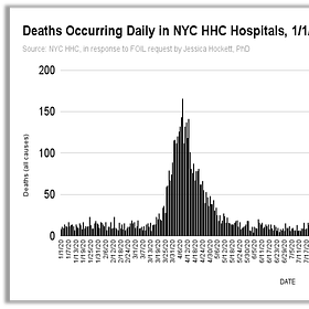 Daily Deaths (All Causes) in New York City Public Hospitals, Jan 1 - Dec 31, 2020