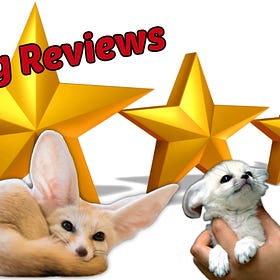 Introducing Merch Store Reviews!