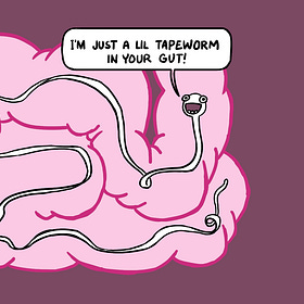 Comic: Just a Lil Tapeworm