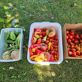 A Typical Harvest