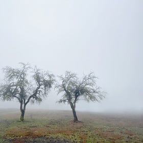 In defense of fog