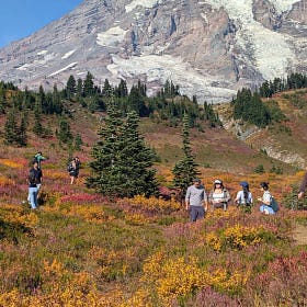What Leaf Peepers Teach Us About Common Resources