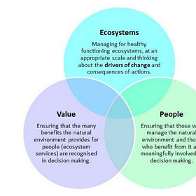 The Ecosystem Approach