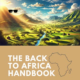 Read this Before You Visit or Move to Africa
