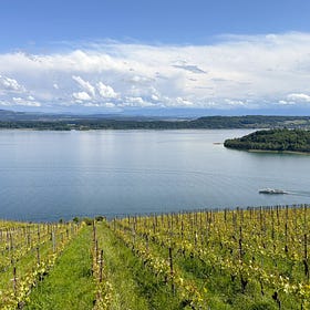 Switzerland Is More Than Mountains