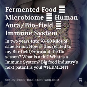 Fermented Food ↣ Microbiome ↣ Human Aura/Bio-field ↣ Immune System 