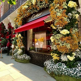 Chelsea in Bloom