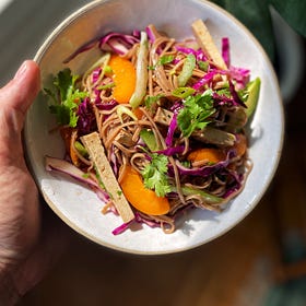 *The* Soba Salad Situation for the Summer