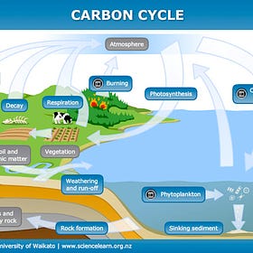 Time to Review the Carbon Cycle
