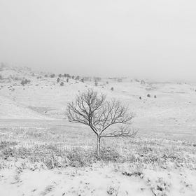 In defense of uneventful