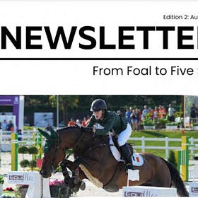 NIHB newsletter: From foal to five star