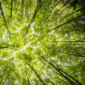 The Danger in Spiritual Growth