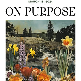💐 Spring Guide: Links & recs for joyful renewal