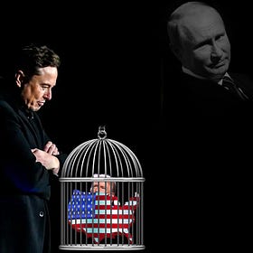 Things Musk (and Trump) Did... Day 50 | Blog#42 