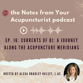 Ep. 16: Currents of qi: A journey along the acupuncture meridians