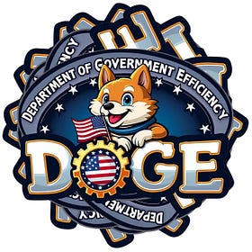 What I think DOGE is really up to