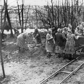 Sobre a Guerra, as mulheres e histórias bem contadas