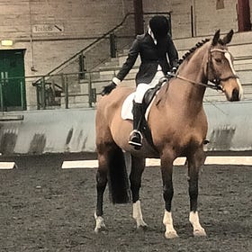 Dressage show for Strule Valley